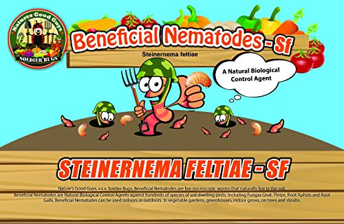 NaturesGoodGuys Beneficial Nematodes Steinernema feltiae SF - 5 Million