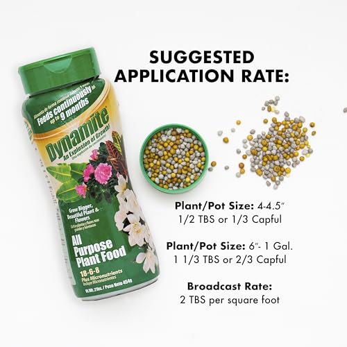BLACK (GOLD) KOW Dynamite 2 lb All Purpose 9 Month Plant Food-(887763) | Provides 9 months of continuous feeding, contains essential micronutrients