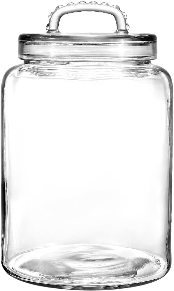 3 Gallon Glass Jar with Airtight Lid, Wide Mouth Large Glass Container