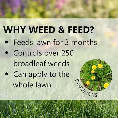 Jonathan Green (12345) Green-Up Weed & Feed - 21-0-3 Grass Fertilizer & Weed Killer (15,000 Sq. Ft.)
