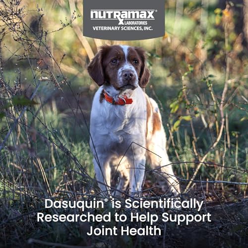 Nutramax Dasuquin MSM Joint Supplement, Small/Med Dogs, Chew Tablets150ct | Glucosamine and Chondroitin, Chewable Tablets for Dogs under 60 lbs