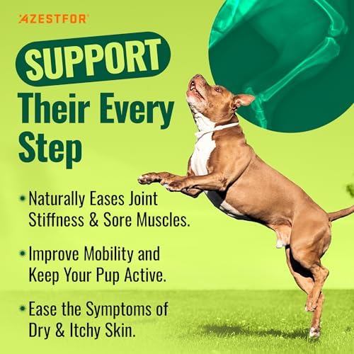 Anti-Inflammatory Green Lipped Mussel for Dogs Powder