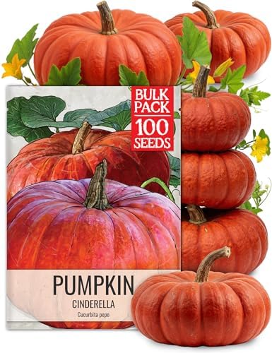 Seed Needs Pumpkin Seeds to Plant 100 Seeds Spooky Mix Non GMO Bulk Pack