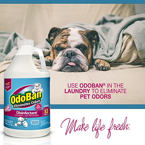 OdoBan Disinfectant Concentrate and Odor Eliminator, Made in the USA, Cotton Breeze Scent, 2 Gallons