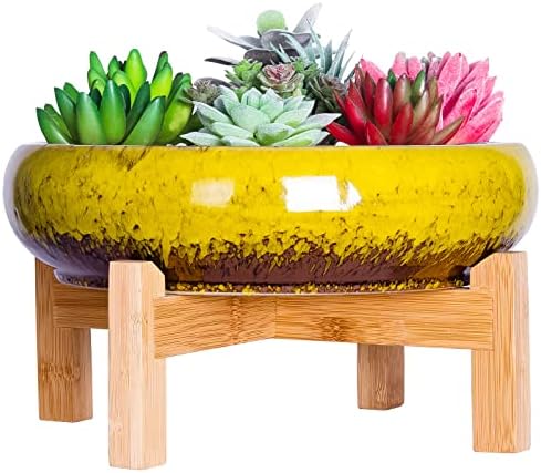 Succulent Pot, 10'' Ceramic Pots for Indoor Plant Shallow Succulent Planter