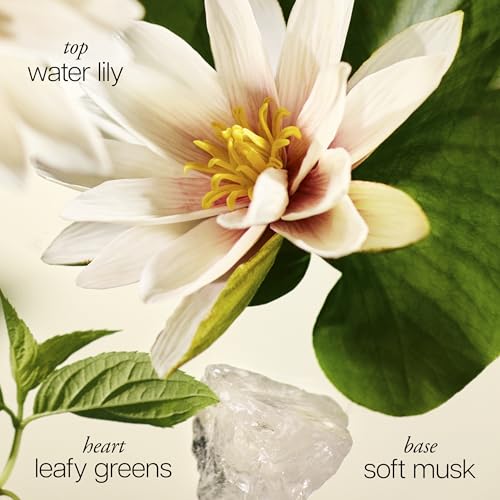 philosophy pure grace - crisp & clean women's perfume - with notes of water lily, leafy greens & musk - long lasting fragrance