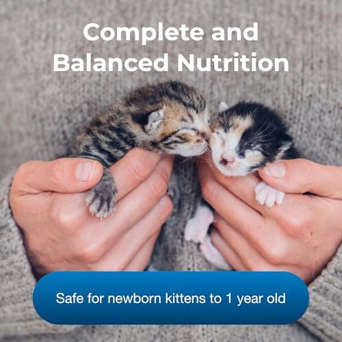 PetAg KMR Kitten Milk Replacer Powder - 6 oz, Pack of 4 - Powdered Kitten Formula with Prebiotics