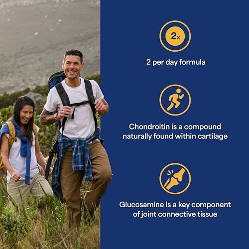 Puritan's Pride Advanced Glucosamine Chondroitin MSM with Vitamin D3 50mcg