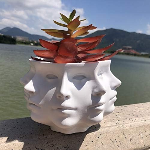 Resin Multi-Face Head Planter, Indoor Succulent Decor