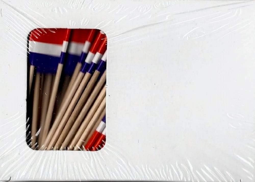 One Box of 100 Nicaragua Toothpick Flags, 100 Small Mini International Flag Cupcake Toothpicks or Cocktail Picks