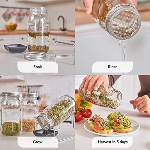 2 Pack Seed Sprouting Jar Lids | For 2.75" Regular Mouth Mason Jars | Fresh Sprouts at Home | Strainer Screen for Canning Jars | 304 Stainless Steel