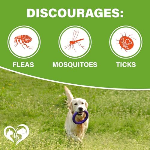 Flea and Tick Prevention Chewable Pills for Dogs - Revolution Oral Flea Treatment for Pets - Pest Control & Natural Defense - Chewables Small