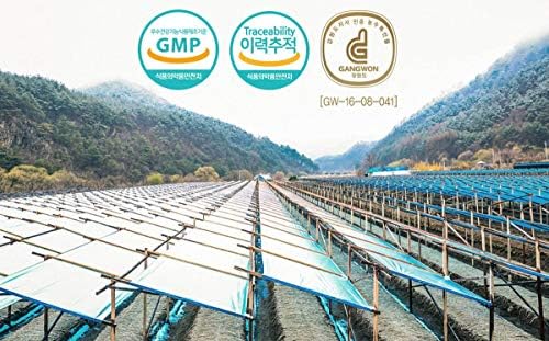 Gangwoninsam] 6 Year Korean Red Ginseng Tea (3g x 50 Packets) – Contains 6 Year Korean Red Ginseng Extract, Korean Tea, Individually Packaged