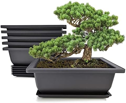 MUZHI 6PCS/Pack Retro Style Basin Plastic Flower Pot 6.5 Inch Flower Bonsai Tree Plant Bowl Nursery Pots Maceta Cuadrada Simulational Purple Sands Pots with Tray Rectangle Small