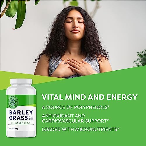 Vimergy Barley Grass Juice Powder, Organic Superfood, 250g, 63 Servings | Clean Nutrient-Dense Superfood*, Powerful Antioxidants for Cardiovascular Health*, Vegan, Gluten-Free