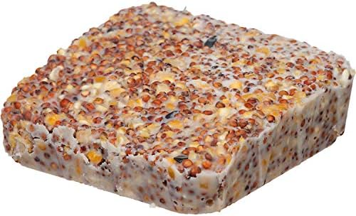 Morning Song 014192 11463 Year-Round Suet Wild Bird Food, 11-3/4 oz