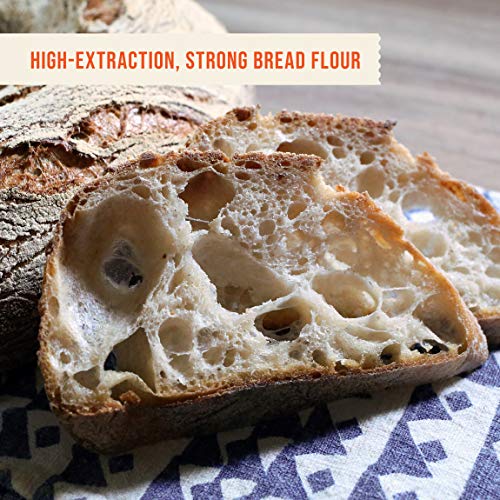 Organic 100% Whole Wheat Hi-Pro Fine Flour – 25 lb. bag
