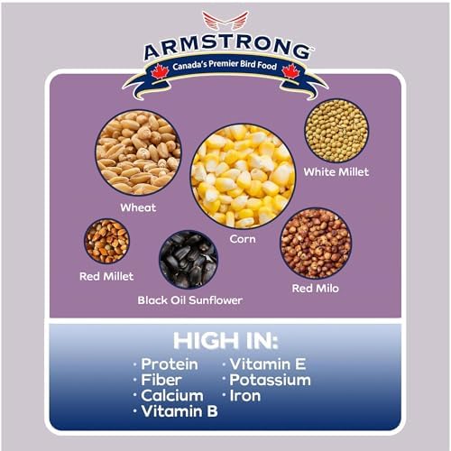 Armstrong Wild Bird Food All Season Bird Seed Blend, 40 Pounds - with Cut Corn, Wheat, White & Red Millet, Black Oil Sunflower Seeds for Blue Jays