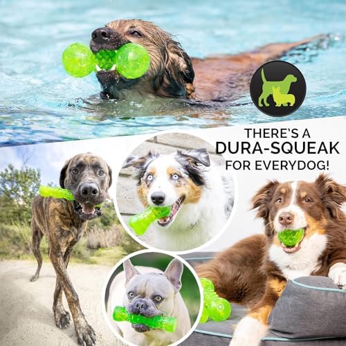 Hyper Pet DuraSqueak Dog Ball Toy, Interactive Dog Toys that Float and Squeaks for Playing, Fetching and Retrieving-Great Alternative to Traditional Tennis Balls Green 2.5 Inch | Bold sound effects reward play, a fresh alternative to traditional tennis o…
