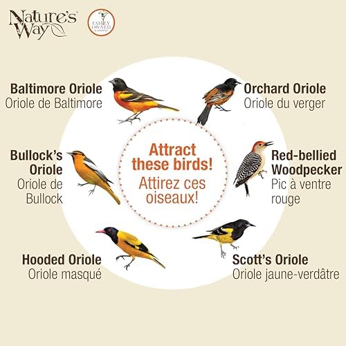 Nature's Way OFM1 Wire Oriole Feeder