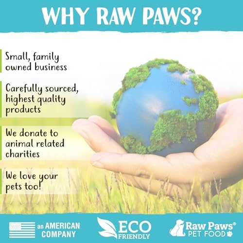 Raw Paws Smoked Beef Marrow Bones for Dogs, 5-6-Inch (4-Count) - Dog Chews
