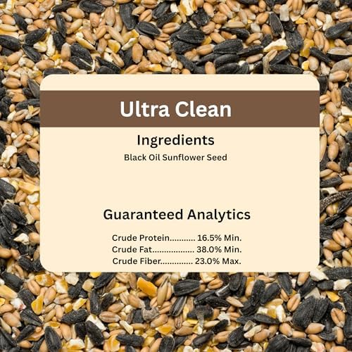 Blue Seal Premium Black Oil Sunflower Wild Bird Seed | High Protein | Attracts Cardinals, Doves