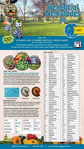 NaturesGoodGuys Beneficial Nematodes Heterohabditis bacteriophora HB (5 Million) - Pest Control