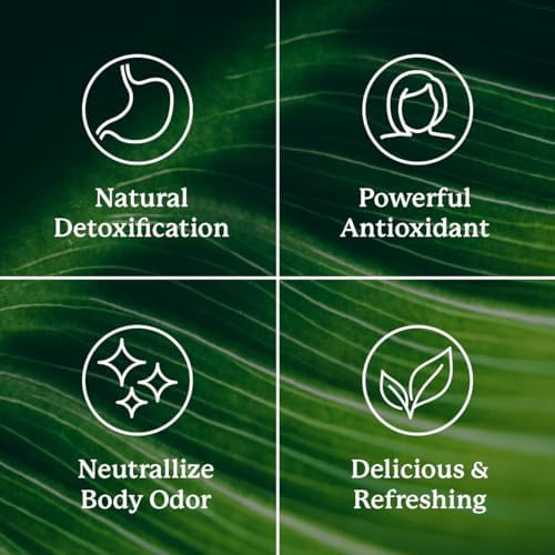Nature's Sunshine Liquid Chlorophyll Extra Strength - Immunity Support, Detox & Cleanse, Chlorophyll Liquid Drops with Spearmint Oil, Natural Energy Boost, Internal Deodorant - 16 Fl Oz
