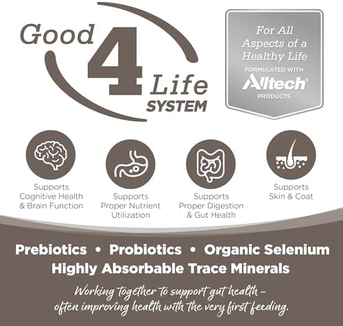 NutriSource Senior Dry Dog Food, Chicken & Rice, 26 lb | Probiotic & Prebiotic Support, Glucosamine & Chondroitin, Grain Inclusive, No Corn Wheat or Soy