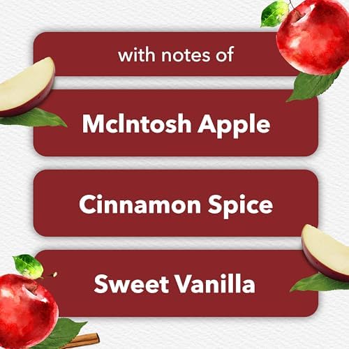 Glade PlugIns Refills Air Freshener, Scented and Essential Oils for Home and Bathroom, Apple Cinnamon, 1.34 Fl Oz, 2 Count