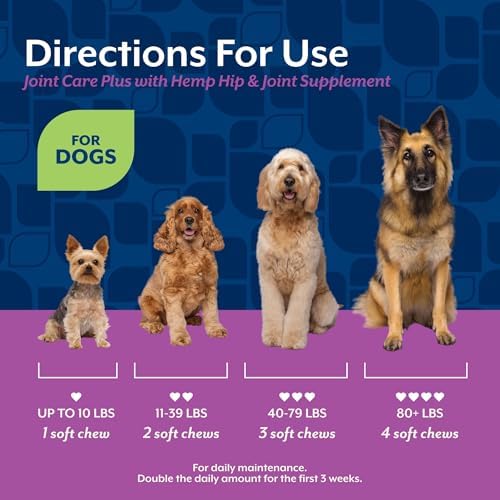 NaturVet Hip & Joint Supplement, Joint Care Plus for Dogs, 120ct