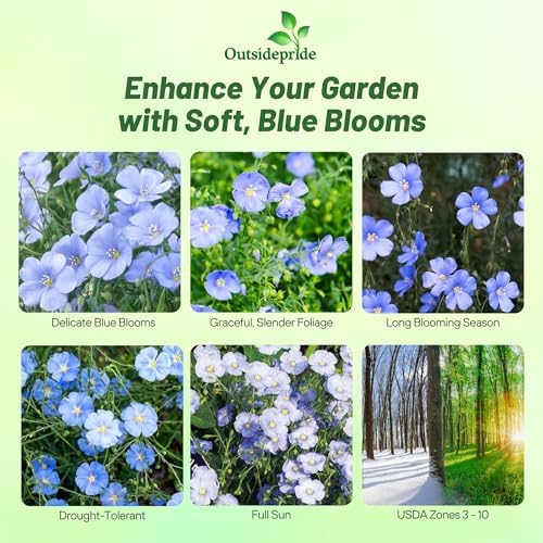 Outsidepride Blue Flax Seeds - 5000 Pcs Perennial Flower Seeds for Planting, Self-Seeding, Drought-Tolerant w/Compact Growth, Ideal for Small Gardens, Meadows, Borders, or Mass Plantings