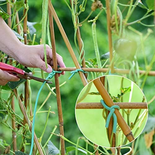YDSL Soft Plant Tie, Garden Wire Tie for Plants Heavy Duty Reusable Plant Twist Ties for Gardening Home Office (Green, 32.8 feet)