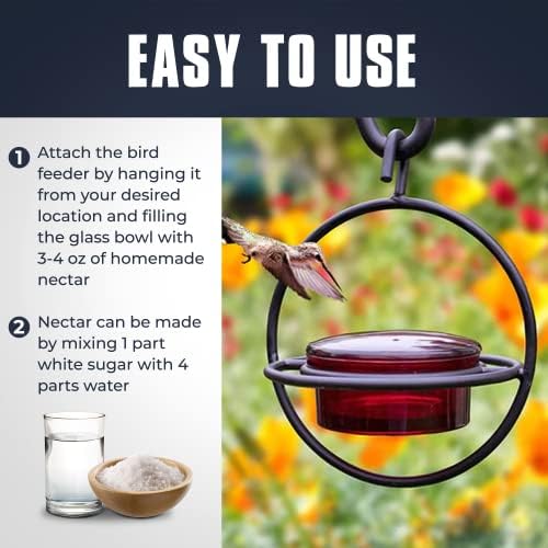 Monarch Abode Hanging Hummingbird Feeders for Outdoors – Single Handcrafted Hanging Glass Hummingbird Feeder with Red Bowl & Perch