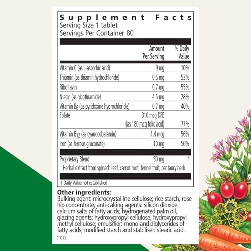 Floradix Iron Tablets - Iron Supplement with B Vitamins, Folic Acid, Vitamin C & More - Energy Support - Vegetarian & Gluten-Free - 80 Tablets (80 Servings)