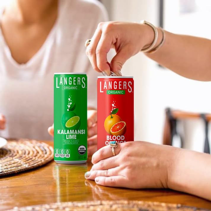 Langers Organic Flavored Sparkling Water, Ginger, 12 Fl Oz (Pack of 8)