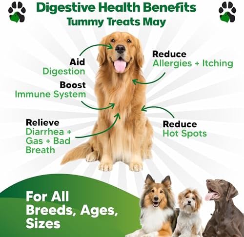 Probiotics for Dogs Digestive Health - Dog Probiotics and Digestive Enzymes - Allergy Relief for Dogs - Probiotic for Dogs Gut Health - Puppy Probiotic Tummy Treats - 120 Dog Probiotic Chews | Gut Health, Allergy and Immune, 4B CFU, 5 Strains, Chicken Fl…