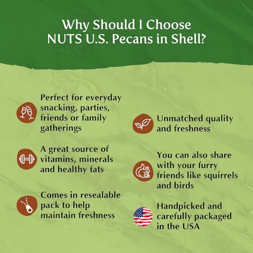NUTS U.S. - Pecans In shell | Whole