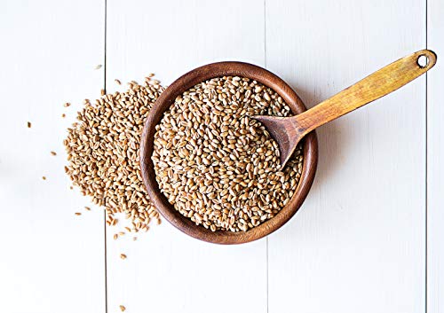 Food to Live Hard Red Wheat Berries, 3 Pounds – Sprouting for Wheatgrass, Kosher, Raw, Vegan, Bulk