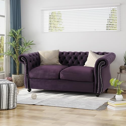 Christopher Knight Home Karen Traditional Chesterfield Loveseat Sofa, BlackBerry and Dark Brown, 61.75 x 33.75 x 27.75