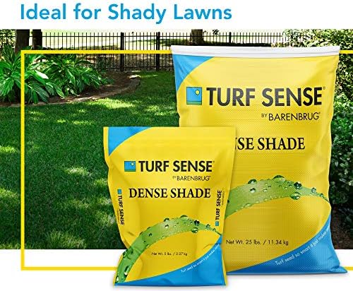 Barenbrug 25627 Turf Sense Dense Shade Grass Seed, 25 LB Bag, Excellent Wear Tolerance