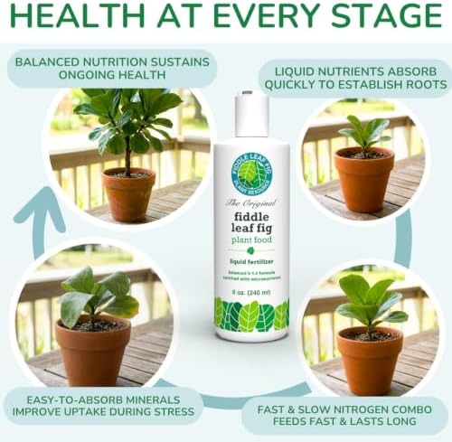 Fiddle Leaf Fig Plant Food, 3-1-2 NPK Liquid Fertilizer for Ficus, 8 oz
