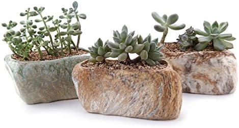 T4U 5.5 Inch Ceramic Succulent Pot Planter with Drainage Hole Set of 3