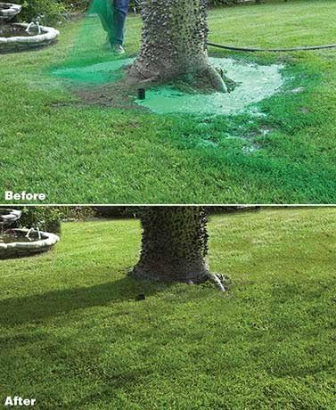 Hydro Mousse Bermuda Grass Seed - Large Refill Bag - Covers up to 1000 Square Feet
