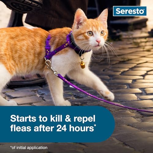 Seresto Cat Vet-Recommended Flea & Tick Treatment & Prevention Collar for Cats | 8 Months Protection