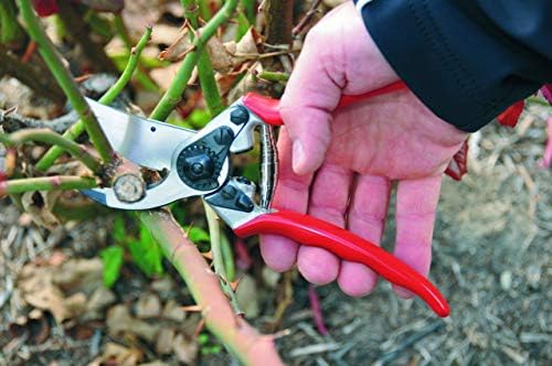 Felco Pruning Shears (F 11) - High Performance Swiss Made One-Hand Garden Pruner with Steel Blade
