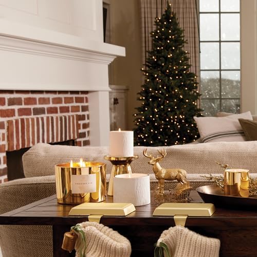 Thymes Frasier Fir Candle - Gilded Collection - Wood Grain Ceramic Design with 24-Karate Gold Rim - Mountain Fresh Fragrance - Elegant Winter Candle Scents - Gifts for Women & Men (3-Wick, 20 oz)