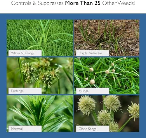 Sedgehammer Plus Turf Solution, 13.5 Grams, Nutsedge Control | Lawns, Golf Courses, Sports Fields, Vegetation Management