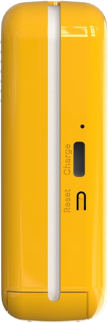 KODAK Mini 2 Retro 2x3 Portable Photo Printer, 4PASS, 38 Sheets, White