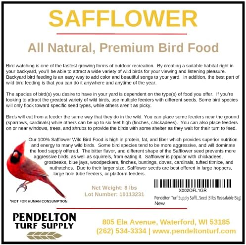 Safflower Wild Bird Seed | All-Natural, Premium Bird Seed (8 lbs Resealable Bag)